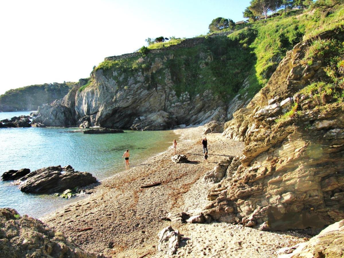 Studio Moderne Argeles Sur Mer.La Plage A Pieds, Espagne A 30Mn מראה חיצוני תמונה
